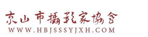 协会动态-京山市摄影家协会
