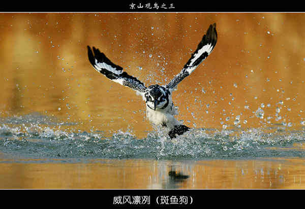 威风凛冽