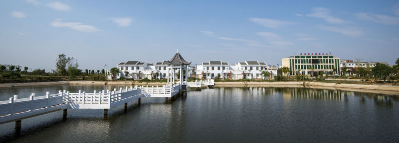美伦美奂的马岭新村一景